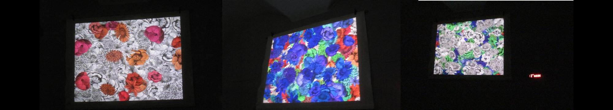 Passare dal Bianco e Nero ai Colori (Particolare) @ Centro Sociale Askatasuna - Torino